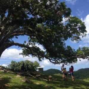 2 Wochen Jamaika Wandern