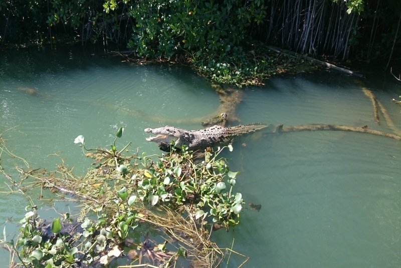 2 Wochen Jamaika Wandern