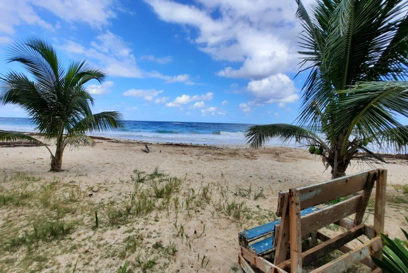 2 Wochen Jamaika Wandern