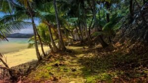 beste jamaika reisezeit - Kolumbien Individual