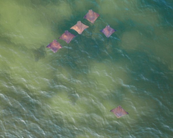 aaron burden NZkOikMx90w unsplash - Kolumbien Individual