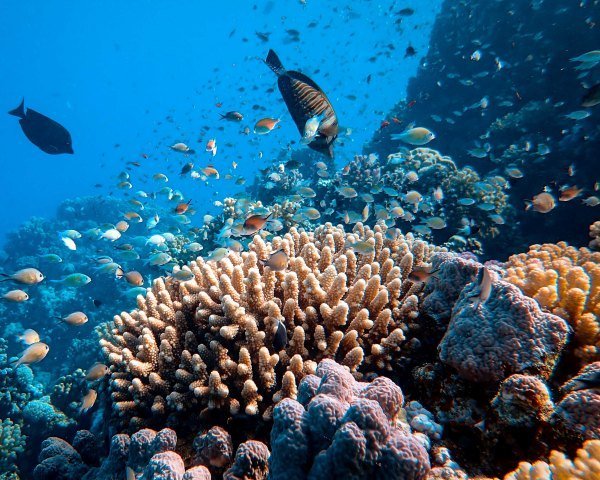 francesco ungaro MJ1Q7hHeGlA unsplash - Kolumbien Individual