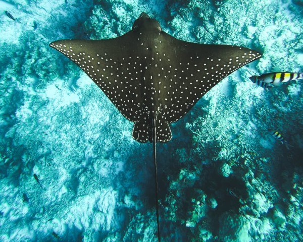 hoodh ahmed X5rusN7NeAk unsplash - Kolumbien Individual