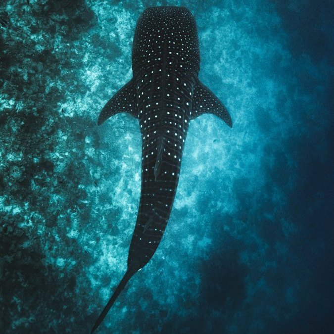 ishan seefromthesky wXt0DiISf38 unsplash - Kolumbien Individual