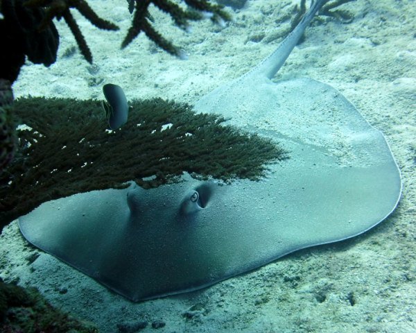 karen kayser U v7DmOCmbM unsplash - Kolumbien Individual