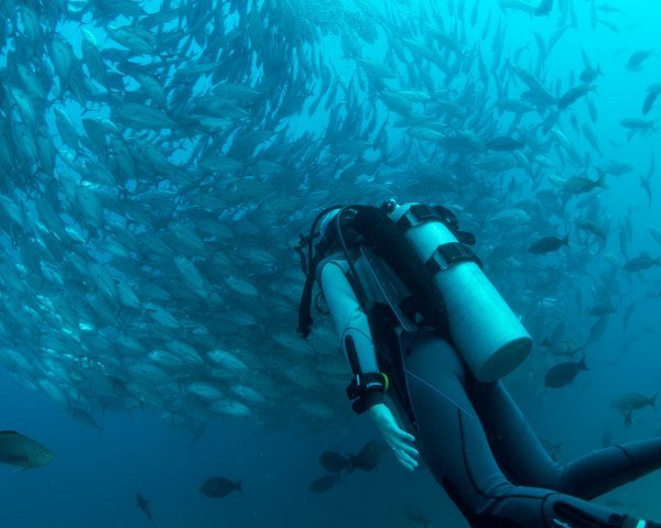 pascal van de vendel gcG b9ijyqU unsplash - Kolumbien Individual