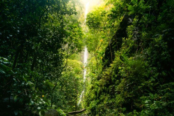 Waterfall Jamaika 12 - Kolumbien Individual