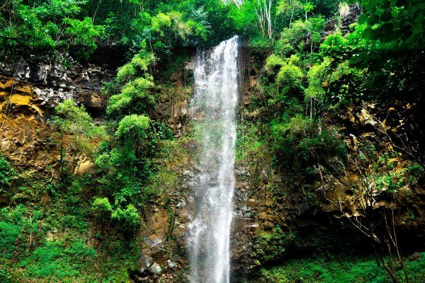 Waterfall Jamaika 8 - Kolumbien Individual