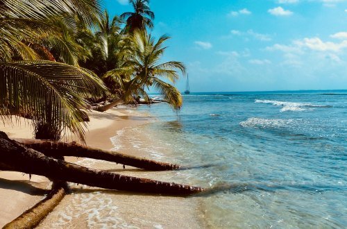 Jamaika 10 - Kolumbien Individual