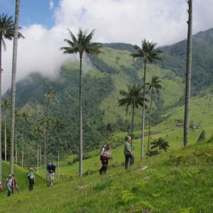 Cocora-tal- Kolumbiem reisen