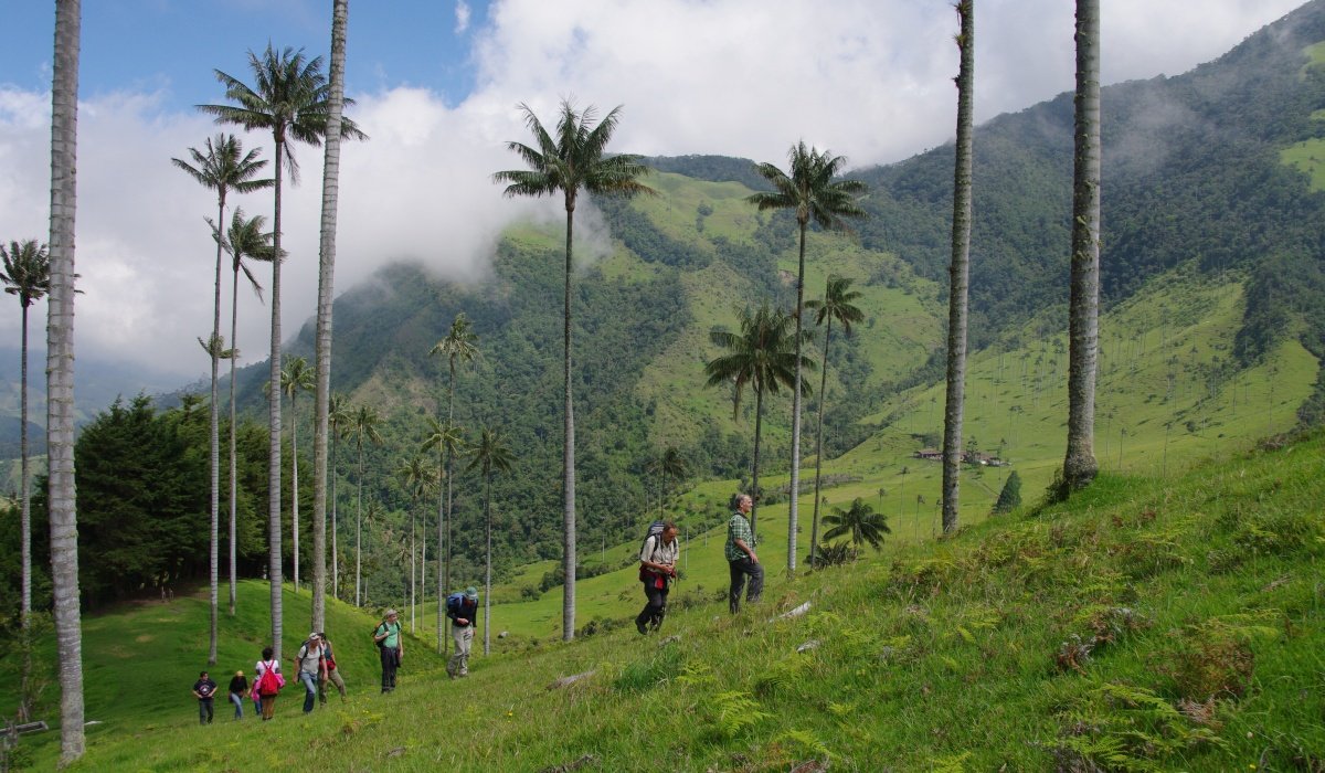 Cocora-tal- Kolumbiem reisen