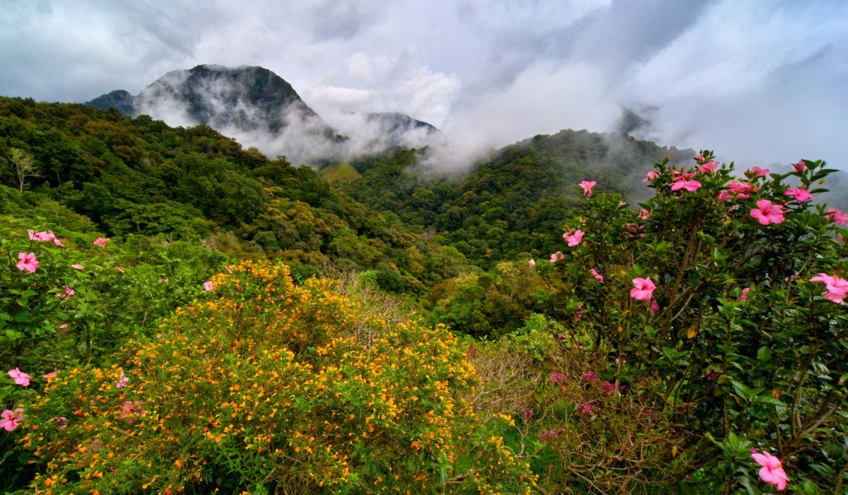 15 Tage Faszinierendes Kolumbien (7)