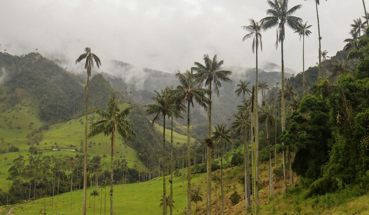 Aktiv und Abenteuer 2025 (8)