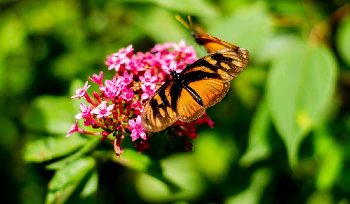 Aktiv und Abenteuer 2025 (9)