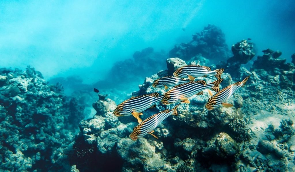 Isla Providencia Kolumbien 21 1 - Kolumbien Individual