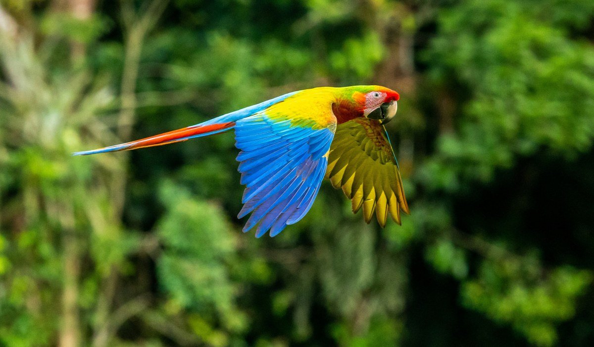 Kombireise Kolumbien, Costa Rica und Panamá 8 Kombireise Kolumbien, Costa Rica und Panama- 22 tage (12)